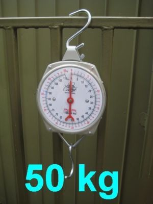 New brand quality hanging metal scale 50KG tn