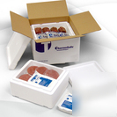 (8) polar packs refrigerant gel pack, cold shipping box