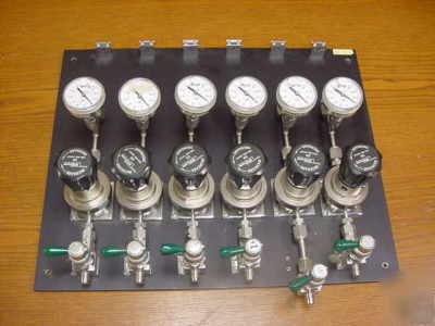 High purity ss gas manifold with 6 tescom regulators