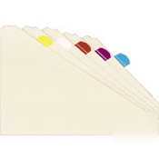Lee removable hefty index tabs - write-on 