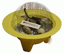 Gqf chick-bator mini egg incubator - w/ 4 fertile eggs