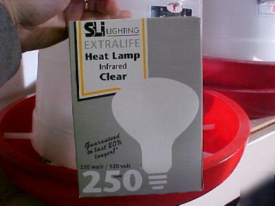 Infrared clear 250W/120V heat lamp bulb keep pets warm