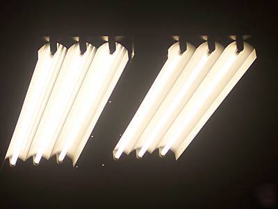 New T5 fluorescent high low bay light fixtures 