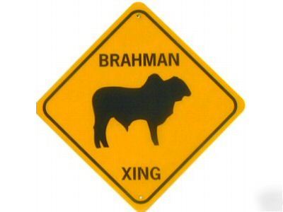 Brahman xing cow aluminum sign