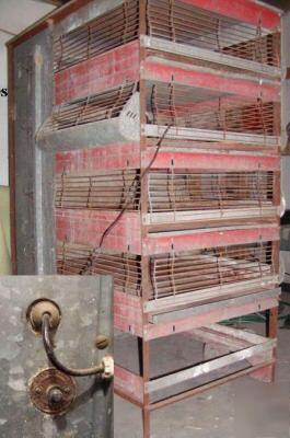 Oakes 5 layer brooder about 200 chicks 4 wks incubator