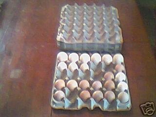 30-egg recycled fiber egg trays, 20 count - great deal 