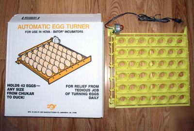 New automatic egg turner hova-bator incubators chicken 