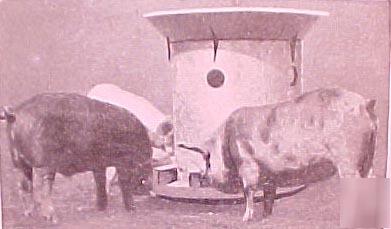 1915 hog pig farm farming book breed breeding pen house