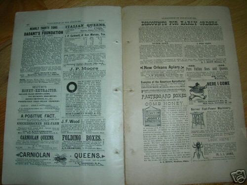 Rare 1888 bee culture medina ohio beekeeping magazine