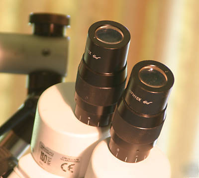 Stereo binocular microscope, iso 9001 certified