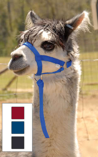 New nylon llama/alpaca halter - yearling size