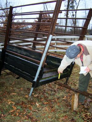 Loading chute for livestock