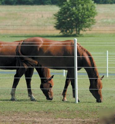 Lightning electric horse fence diy coated wire 20 yr