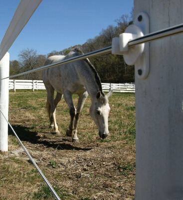 Lightning electric horse fence diy coated wire 20 yr