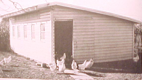 Building poultry cattle goat sheep dairy farming barn++