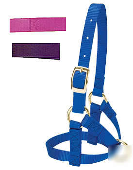 New nylon alpaca halter - large size