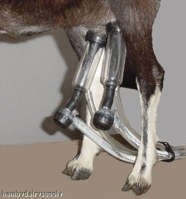 Portable goat milker...2 goats at a time expandable