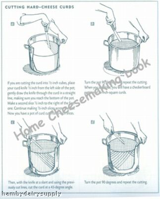 Electric home cream separator--60 liter/hour capacity 