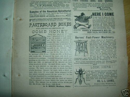 Rare 1888 bee culture medina ohio beekeeping magazine