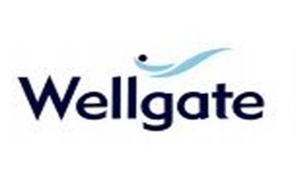 Welltech voip gateway wellgate 3701B 