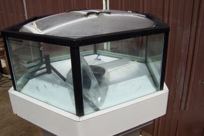 Pentigon comercial lobster tank seafood holding tank