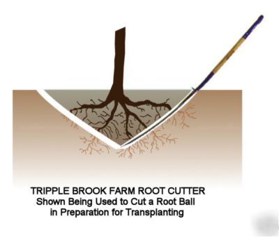 Tbf root cutter- dig move spade transplant trees shrubs