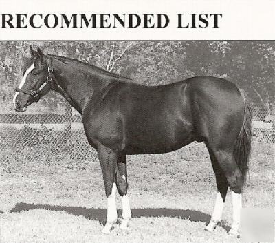 Thoroughbred horse 2007 stud season to recommended list