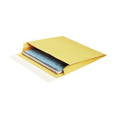 Survivor openside mailers plain 40LB 10X15X2 100CT kra